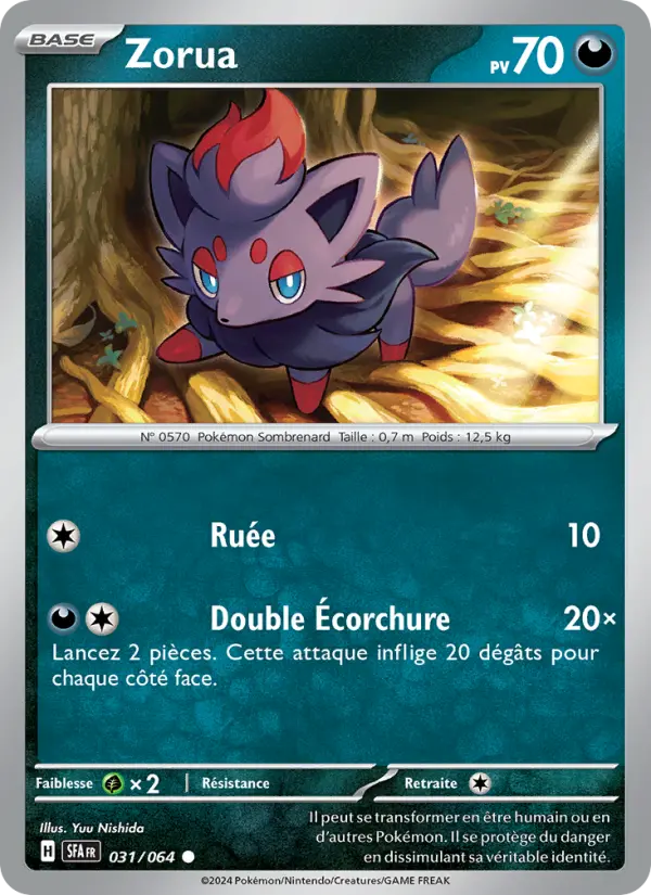Zorua #031