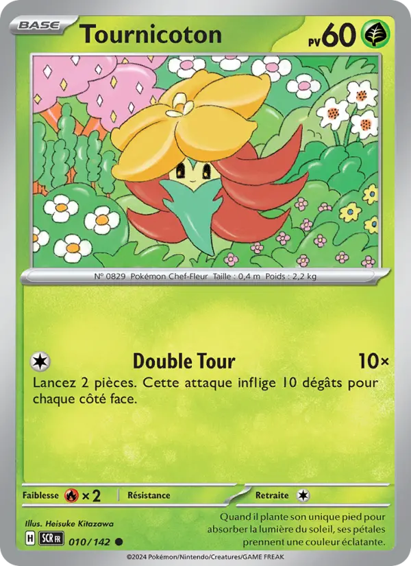 Tournicoton #010