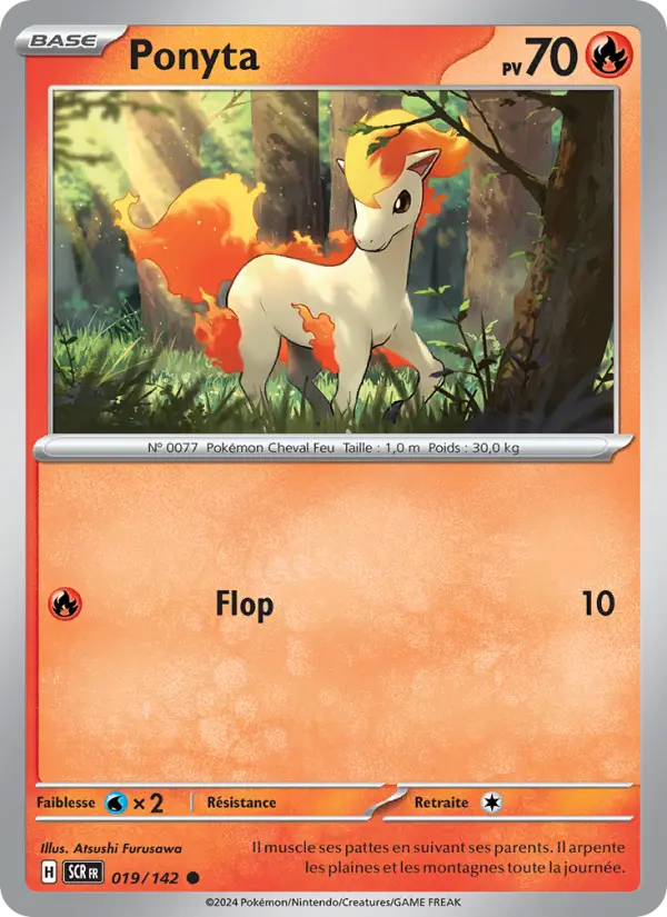 Ponyta #019