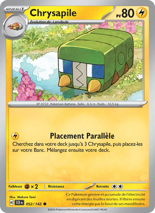 Chrysapile #052