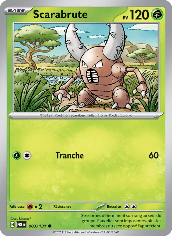 Scarabrute #003