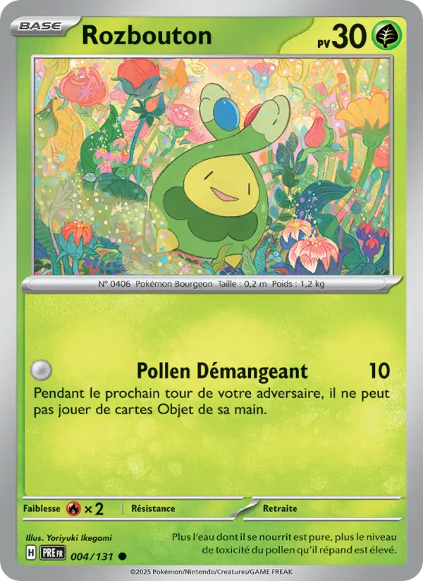 Rozbouton #004
