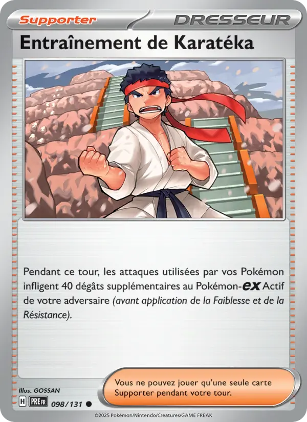 Entraînement de Karatéka #098