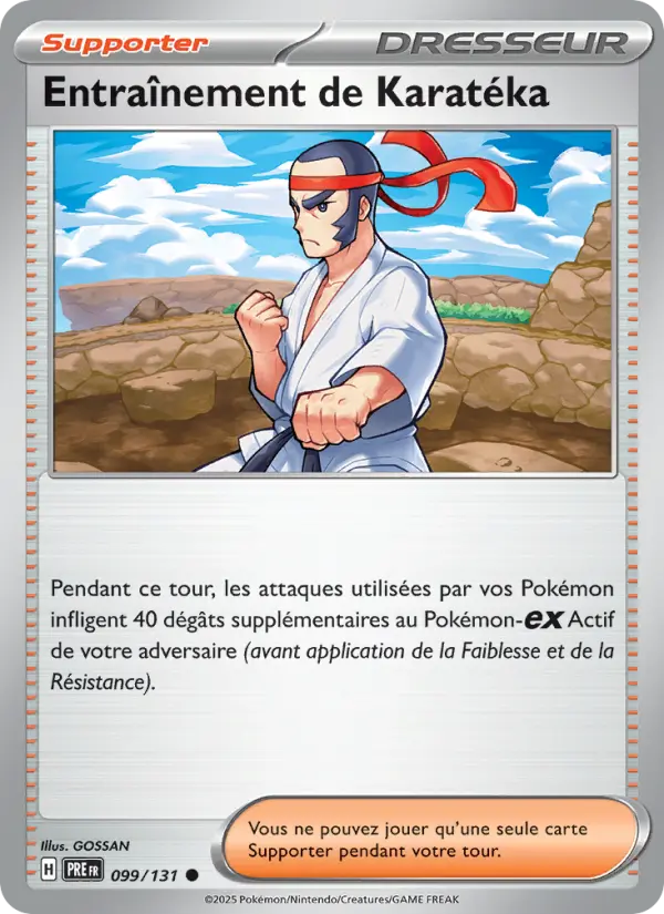 Entraînement de Karatéka #099