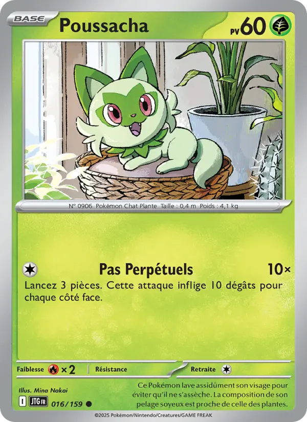 Poussacha #016
