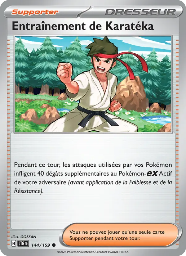 Entraînement de Karatéka #144