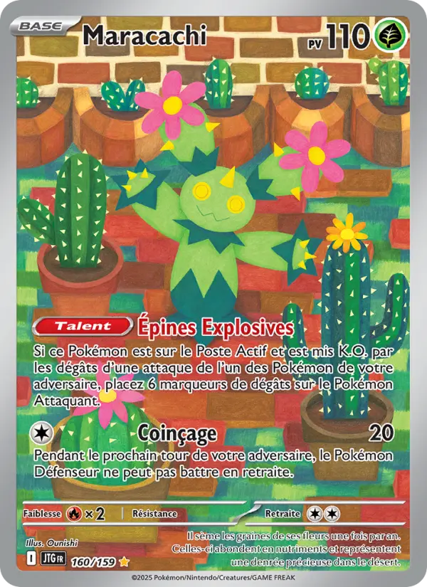 Maracachi #160