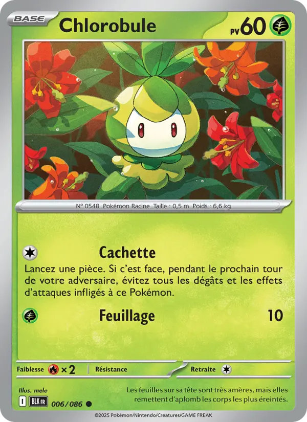 Chlorobule #006