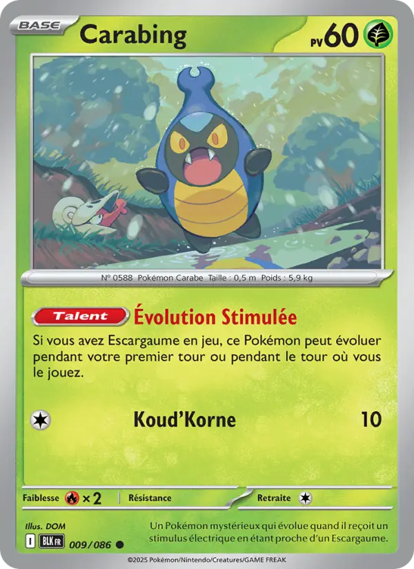 Carabing #009