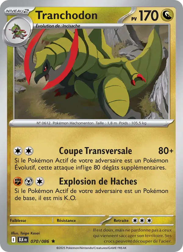 Tranchodon #070