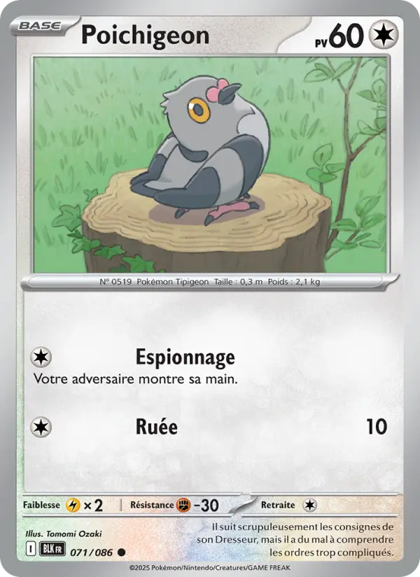 Poichigeon #071