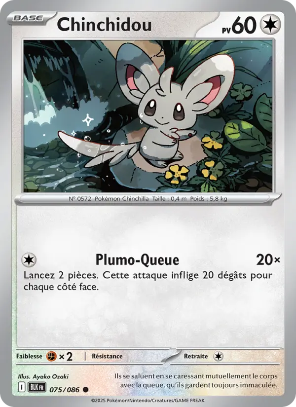 Chinchidou #075