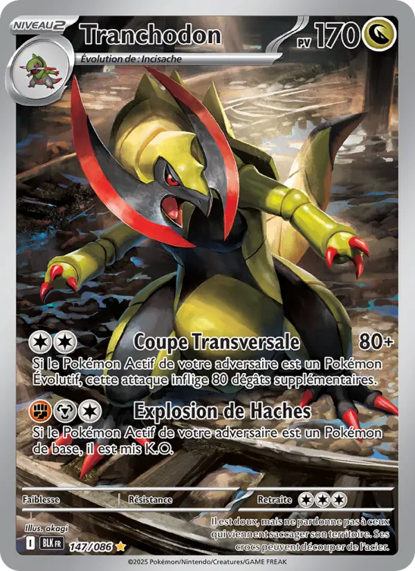 Tranchodon #147