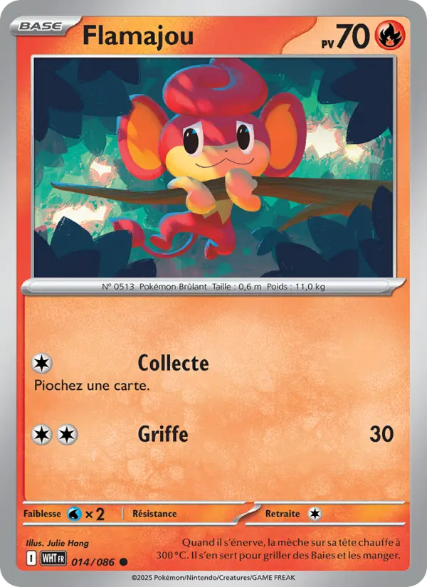 Flamajou #014