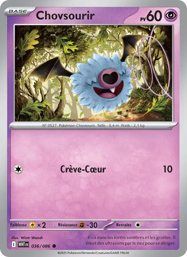 Chovsourir #036
