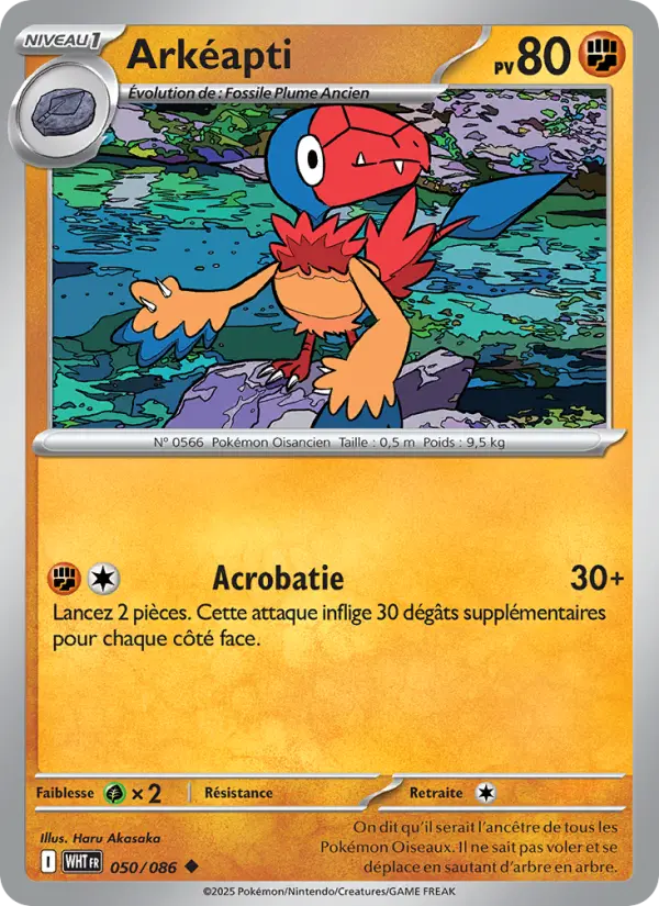 Arkéapti #050