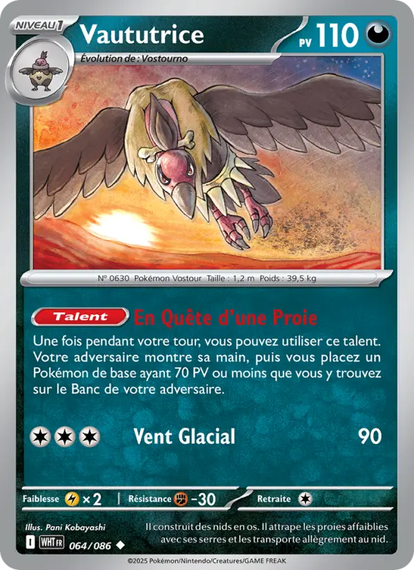 Vaututrice #064