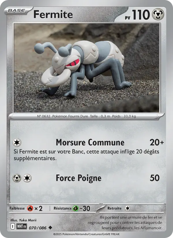 Fermite #070