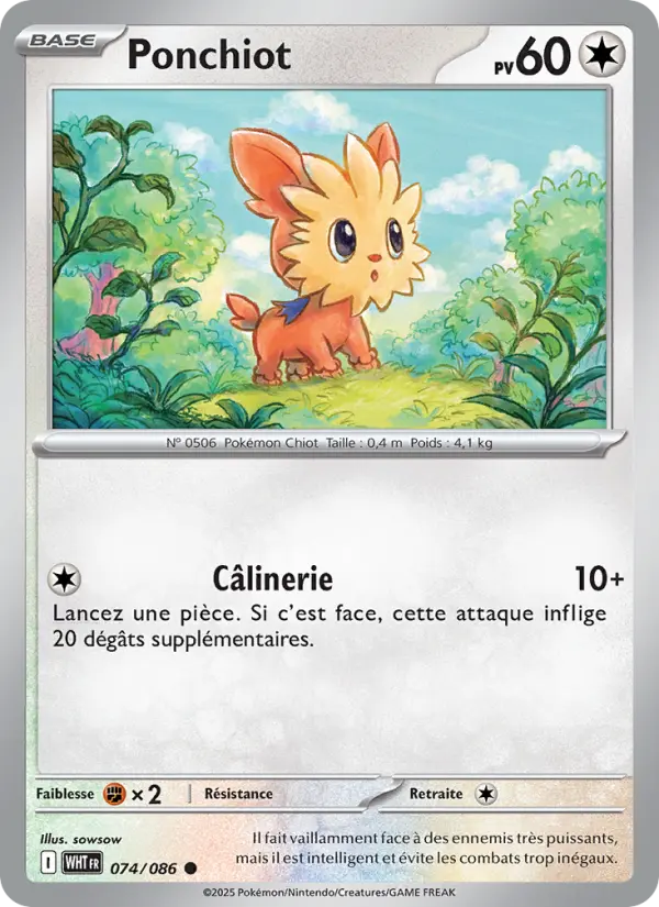 Lillipup #074