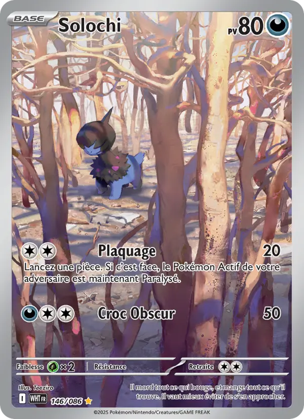 Solochi #146