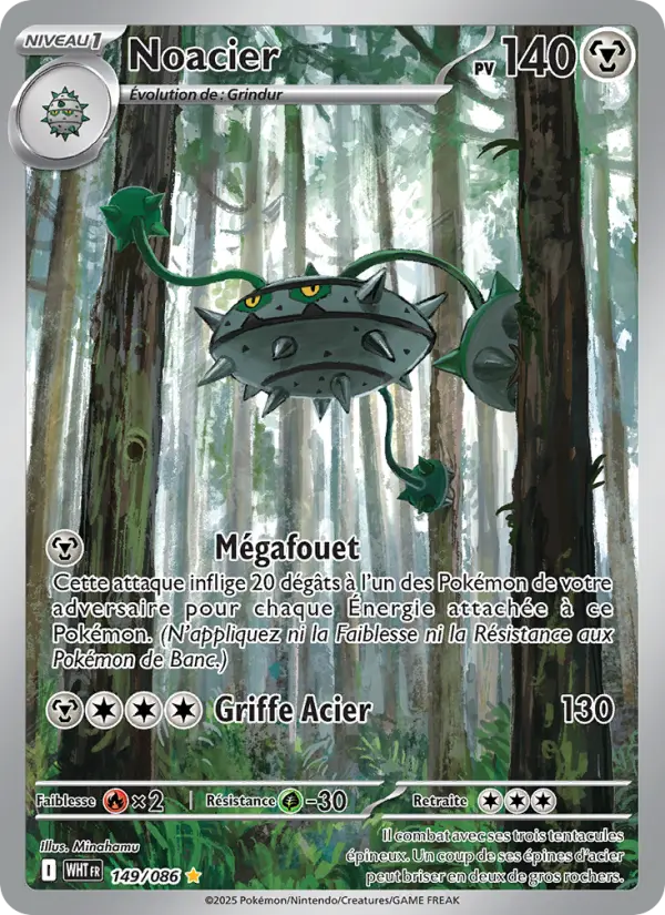 Noacier #149