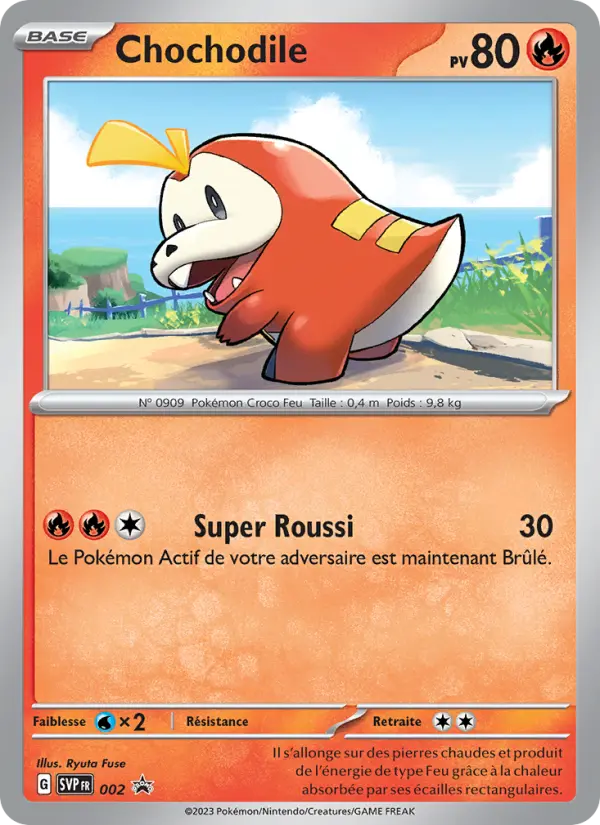 Chochodile #002