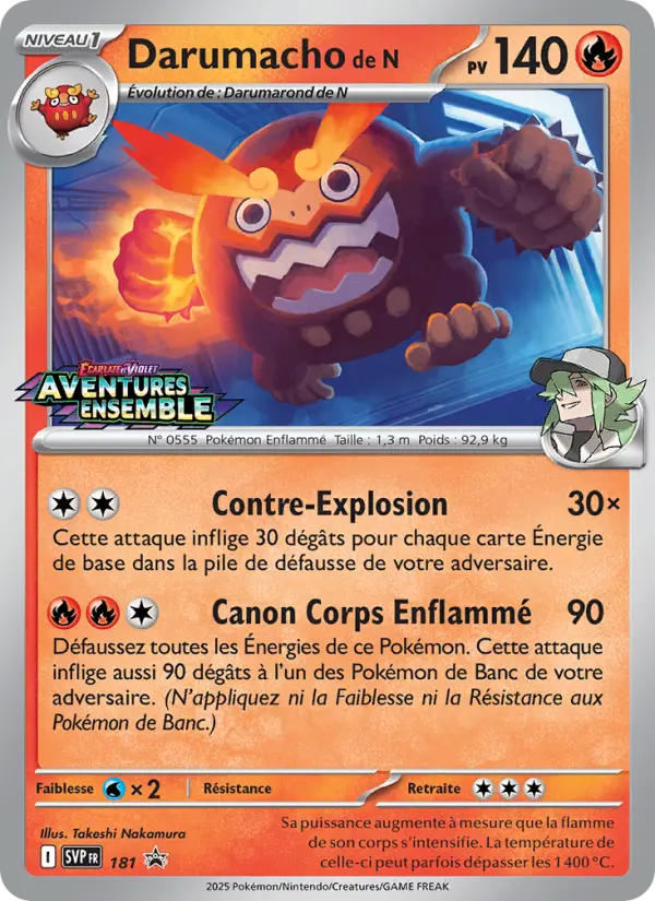 Darumacho de N #181
