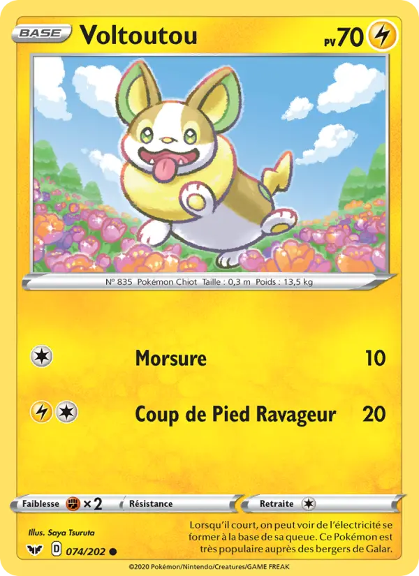 Yamper #74