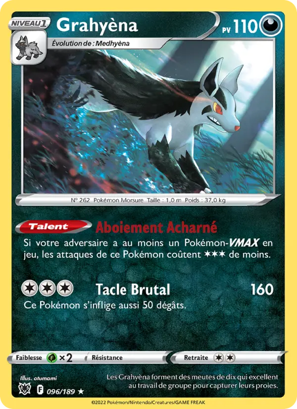Grahyèna de la Team Aqua #096