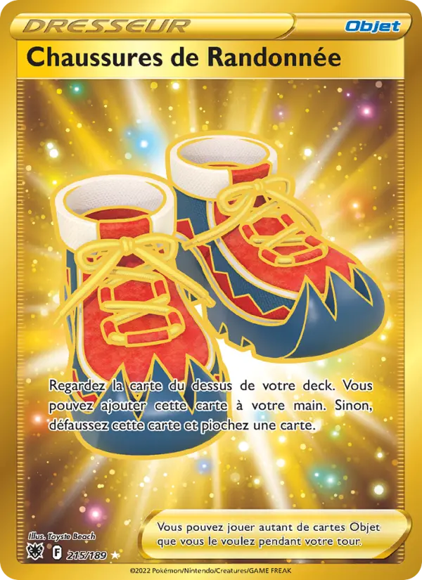 Chaussures de Randonnée #215