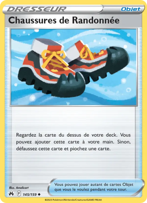 Chaussures de Randonnée #145
