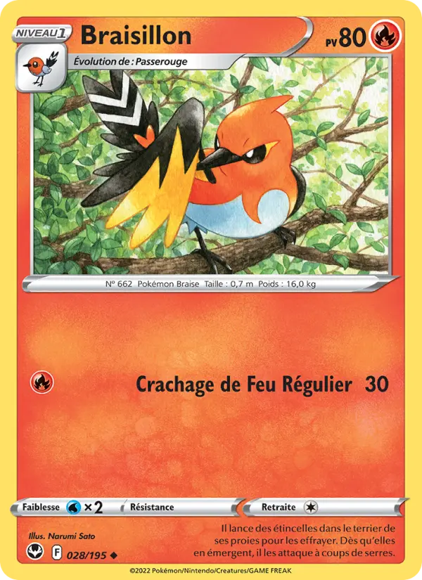 Braisillon #028