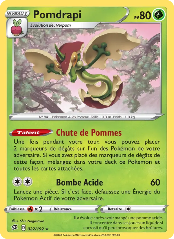 Pomdrapi #22