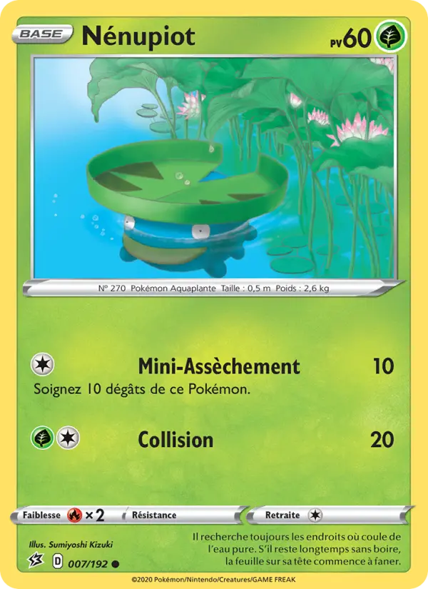 Lotad #7