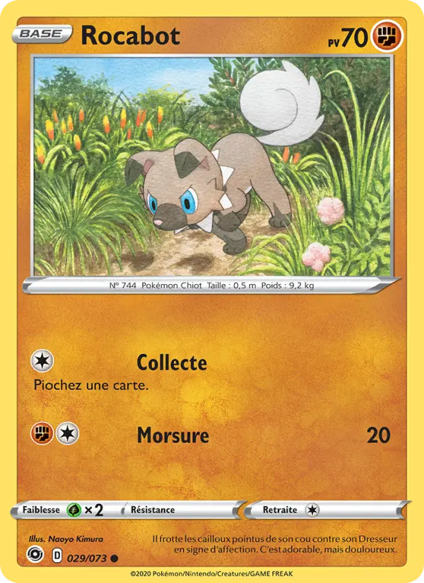 Rocabot #29