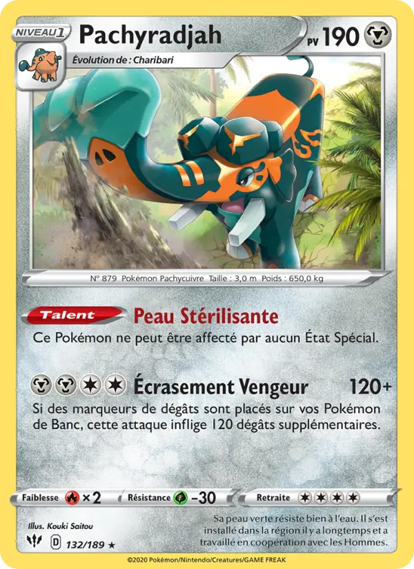 Pachyradjah #132