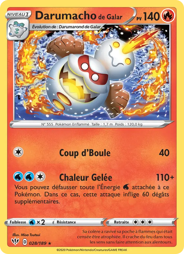 Darumacho de Galar #28