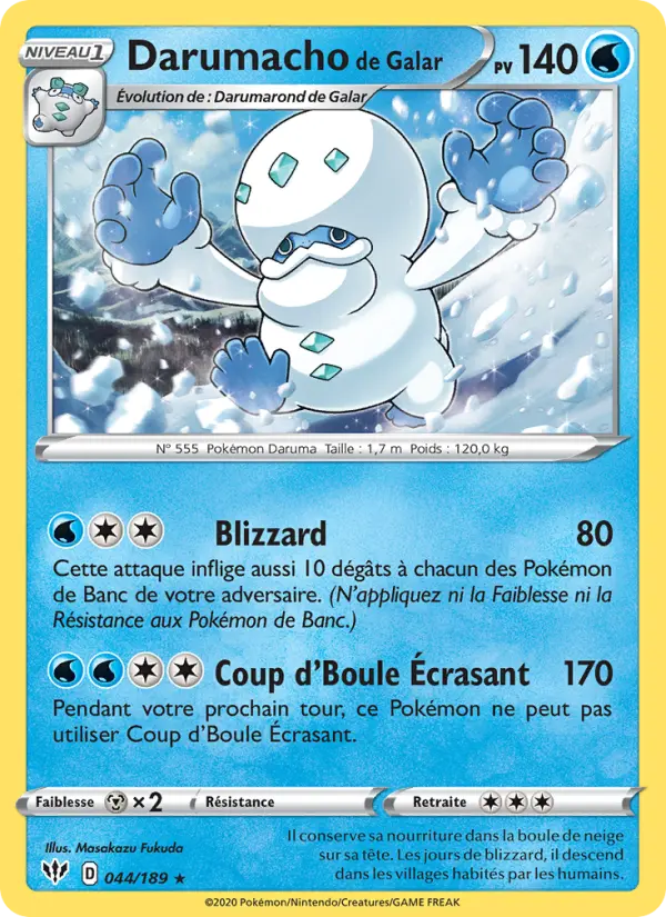 Darumacho de Galar #44