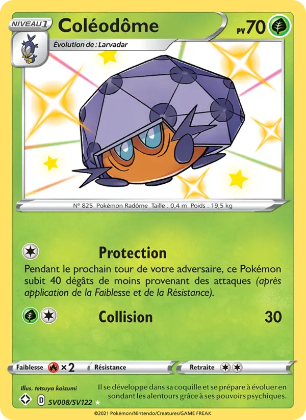 Coléodôme #SV008