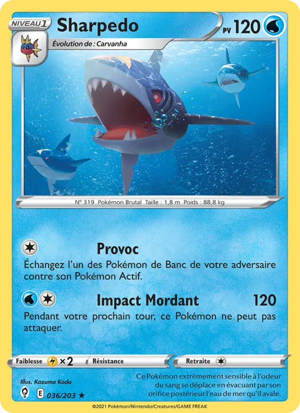 Sharpedo #036
