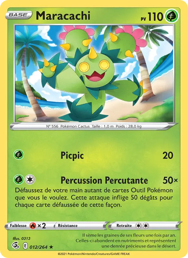 Maracachi #012