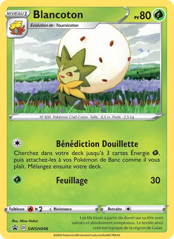 Blancoton #046