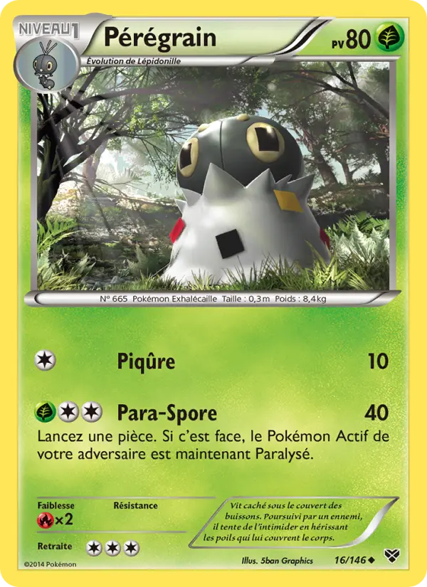 Pérégrain #16