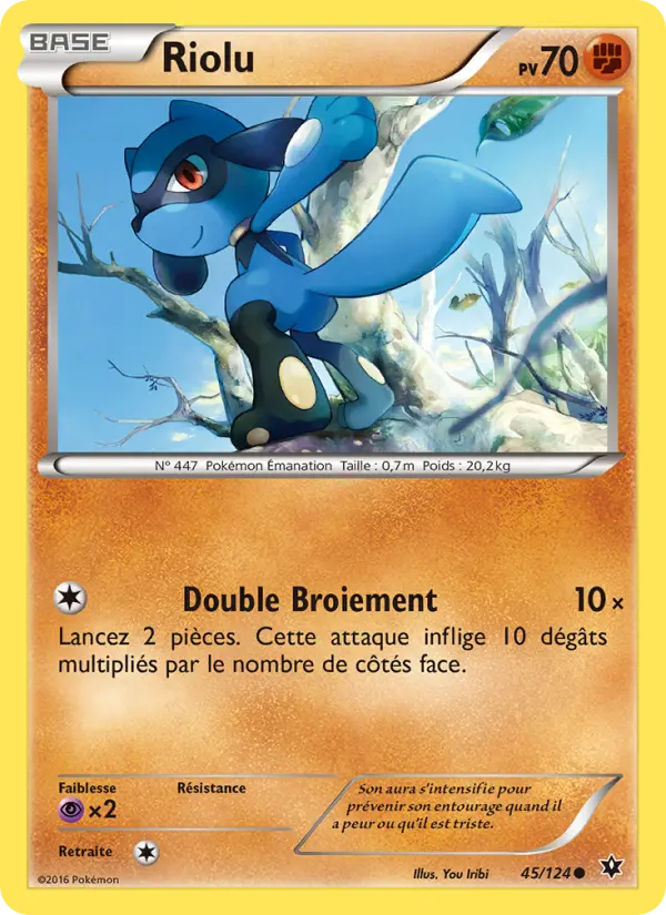 Riolu #45