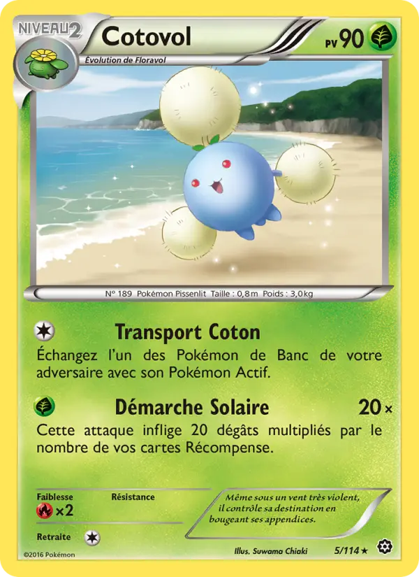 Cotovol #5