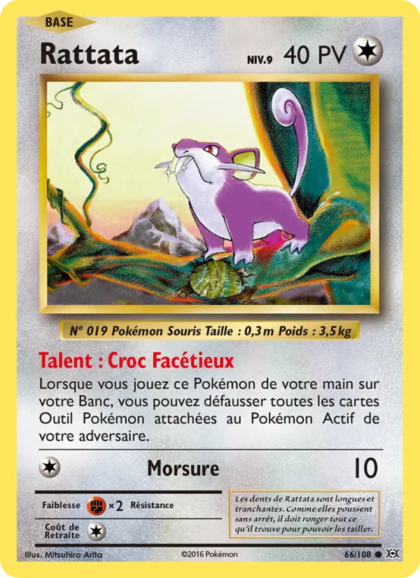 Rattata #66
