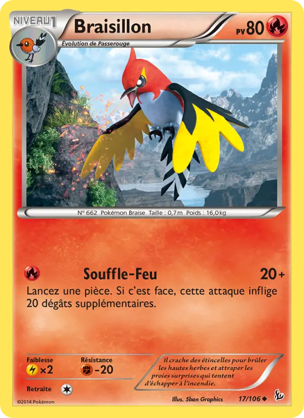 Braisillon #17