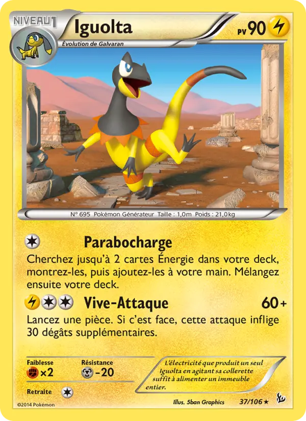 Iguolta #37