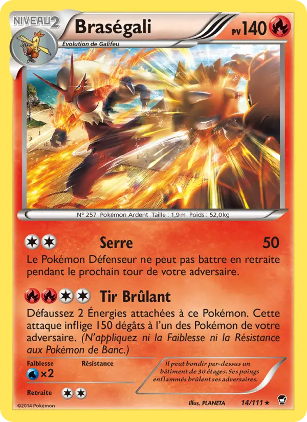 Brasegali #14