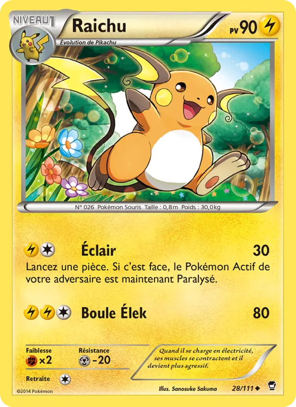 Raichu #28 — Poings Furieux